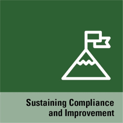 Sustaining Compliance and Improvement Icon