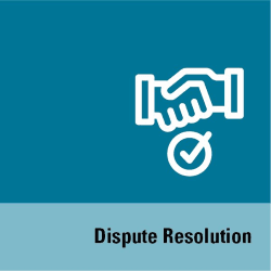 Dispute Resolution Icon